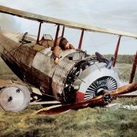 Французский пилот в подбитом сальмсоне, 1917