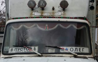 Автовсячина