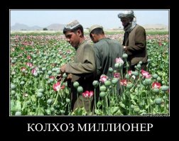 Коммунизм наяву: китайская деревня, в которой каждый житель - миллионер