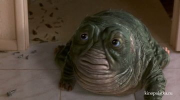 Самый милый паучок на свете излечит вашу арахнофобию 