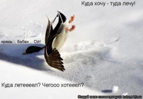 Авария дня. На мосту в Архангельске произошло смертельное ДТП