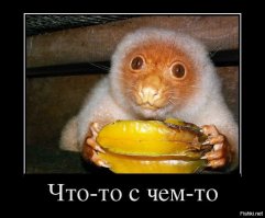 Пятнистый кускус с карамболой.