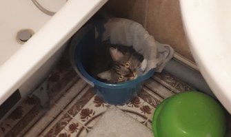 Зато этот наверно любит и очень ожидает её, но я не поливал его :)