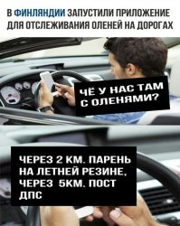 Олень тут один, с телефоном за рулём.