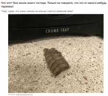 Херсае сюрприз. Лучше бы тараканы...