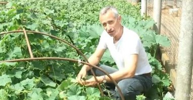 А это я так полагаю, инцест.