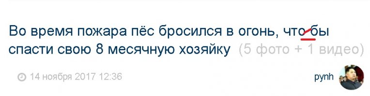 Во время пожара пёс бросился в огонь, что бы спасти свою 8 месячную хозяйку