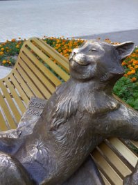 5 самых знаменитых котов
