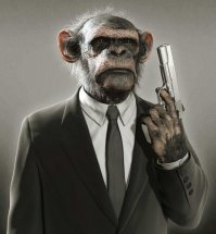 В качестве заглавной картинки