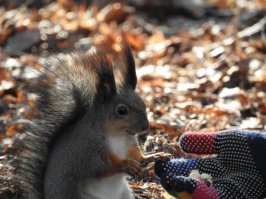 Это тоже Питер. Где-то между Коломяжским проспектом и проспектом Энгельса :)