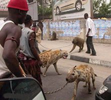 Лепарды не кусаются, они сразу тебя жрут. Этого дебила рядом с ними поселить надо.