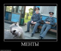 Ментовские байки. Не баян - уверенно заявляю