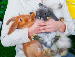 Прелестные малыши в ладошках!