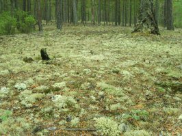 Россия: 15 самых красивых пейзажей