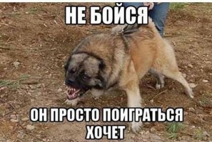 Житель многоэтажки выгуливает на поводке своего леопарда