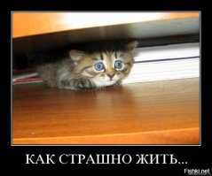 Просто демотиваторы, очень смешные