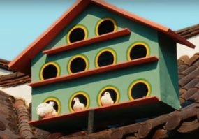 из "Товарищ Ким отправляется в полёт".
типичный почтовый сервер ?