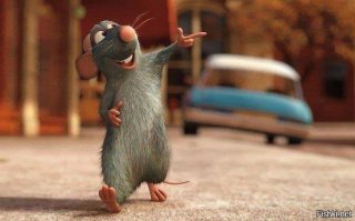 Милых грызунов впервые вынесли на природу. И они счастливы