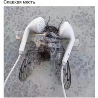 судя по размерам это муха явно мутант .....я бы побоялся мстить ей таким образом