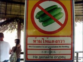 Буйство запретов: подборка запрещающих надписей и знаков