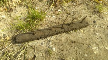 Тоже с проколотыми сосками и пупком