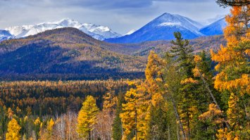 Недавно приехал с Восточных Саян. Красота там!
