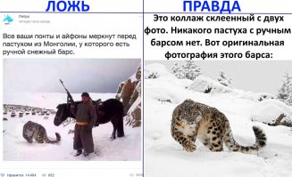 Смешные картинки с надписями