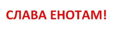 За енотов всегда плюс