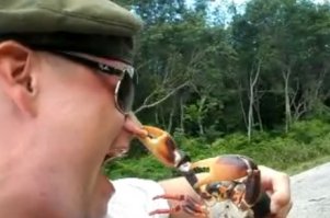 Таких идиотов полно :)