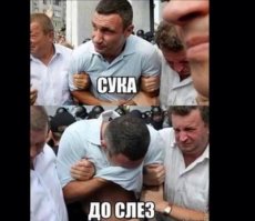 Большинство народных супермаркетов принадлежит иностранцам и олигархическим структурам