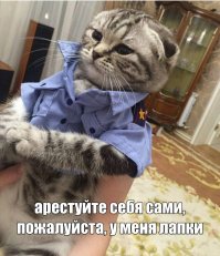 У гаишников мерзнут ручки на морозе