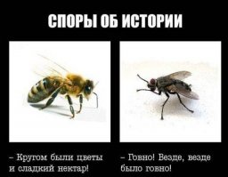 Рената Андреева

Пчела сказала:
  Вспомню лето,
И сердце просится в полёт.
О, торжество тепла и света,
Когда везде цветы и мёд!

Но тут ей муха возразила:
  Тебя мне слушать  так смешно:
Цветы! Да где же это было,
Когда вокруг одно говно?

Пчела на муху поглядела,
Решила, смысла спорить нет,
И в сад цветущий полетела,
А муха   в  ближний туалет.

***
Нас счастье ждёт и ждут печали,
Но мы в теченьи наших дней,
Обычно в жизни замечаем
Лишь то,  что сами ищем в ней