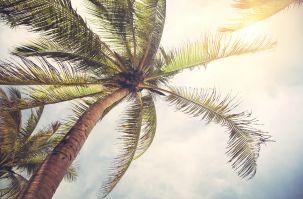 Обычное фото с отдыха. 07.2017