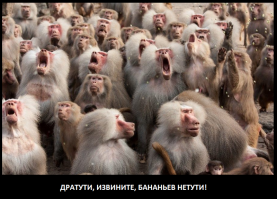 Студенты провалились под пол во время вечеринки 