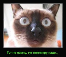 Кое-что о биткоине