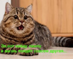 Пятничная рассказявка №214 - За жизнь