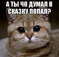 За сыр и мясо из Европы отправят за решетку