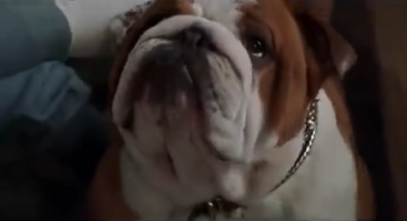 Из той же оперы