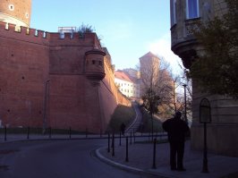 Ва вель (польск. Wawel)   комплекс архитектурных памятников, из которых важнейшие   Королевский замок и кафедральный собор Святых Станислава и Вацлава. Вавельский замок, названный одним из семи чудес Польши, расположен на холме на берегу реки Висла, он не одно столетие служил резиденцией польским королям. Это главная исторической достопримечательность и символ Польши. 
Вход на территорию замка со стороны улицы Podzamcze вдоль замковых стен с табличками с именами благотворителей. Перед входом в замок расположен памятник Тадеушу Костюшко на коне.
авторство