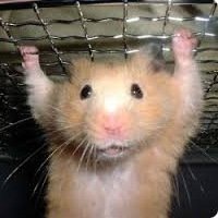 Врешь, не возмешь