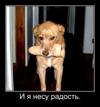 Я несу радость, а ты?