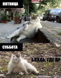 Веселая поездка