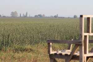 Фотография для тех, кто понимает минимализм