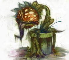 Чудные водоросли из Китая