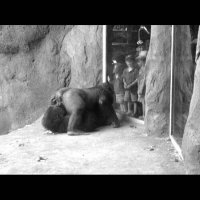 Это ещё нормально, а могло быть и так :)