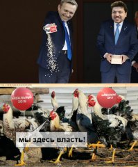 Сила ракурса: фотограф Навального Евгений Фельдман – эксперт по «размножению»
