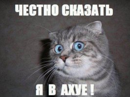 причём в полном