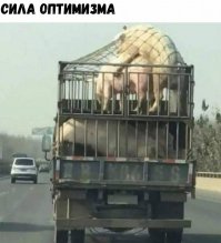 Прикольные объявления