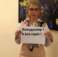 Тушеные медальоны из телятины