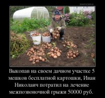 Дачи, огороды, и проблемы